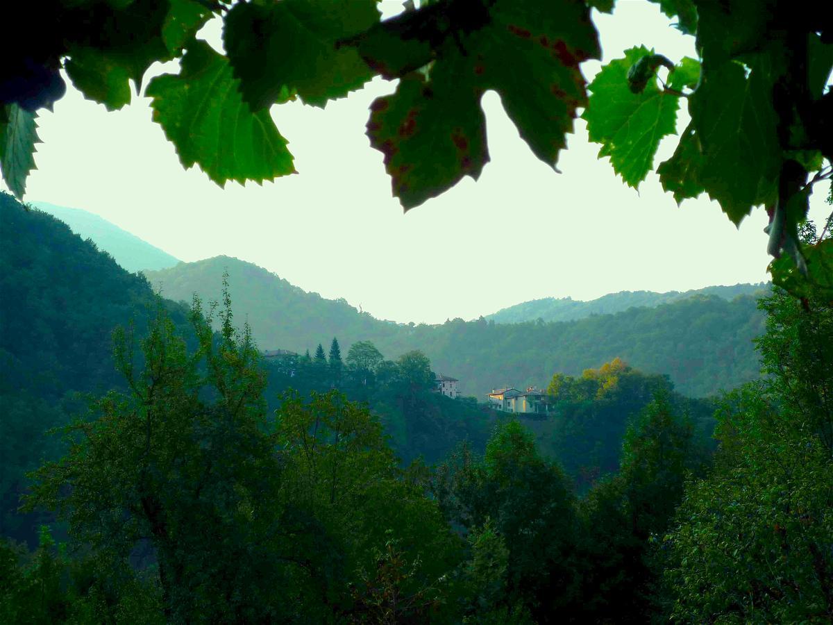 Casa Sittaro Βίλα Grimacco Εξωτερικό φωτογραφία